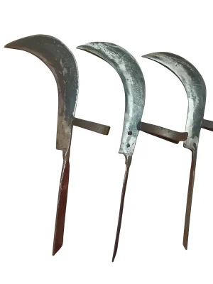 Traditional Boti