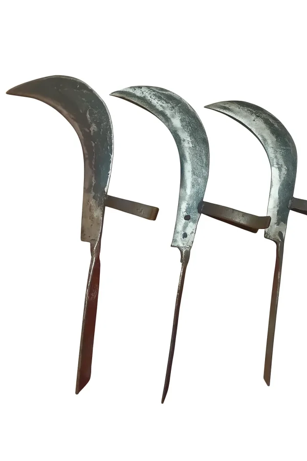 Traditional Boti